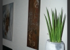 ambiente8-n