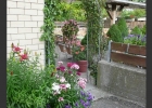 chilchli-garten-sommer