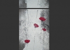 acryl-mohn-n
