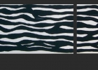 z_zebra