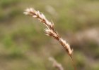 img_0518