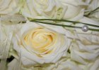 img_1527